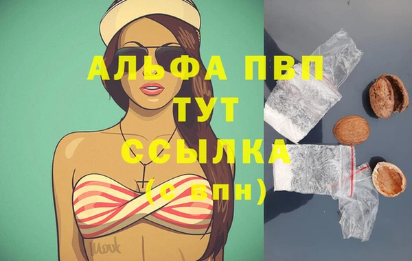 соль ск Алексин