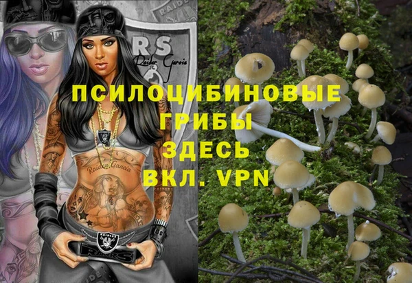 соль ск Алексин