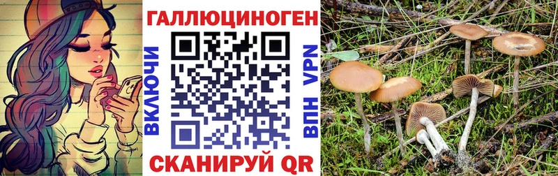 Псилоцибиновые грибы Psilocybine cubensis даркнет сайт KRAKEN как зайти Кемерово