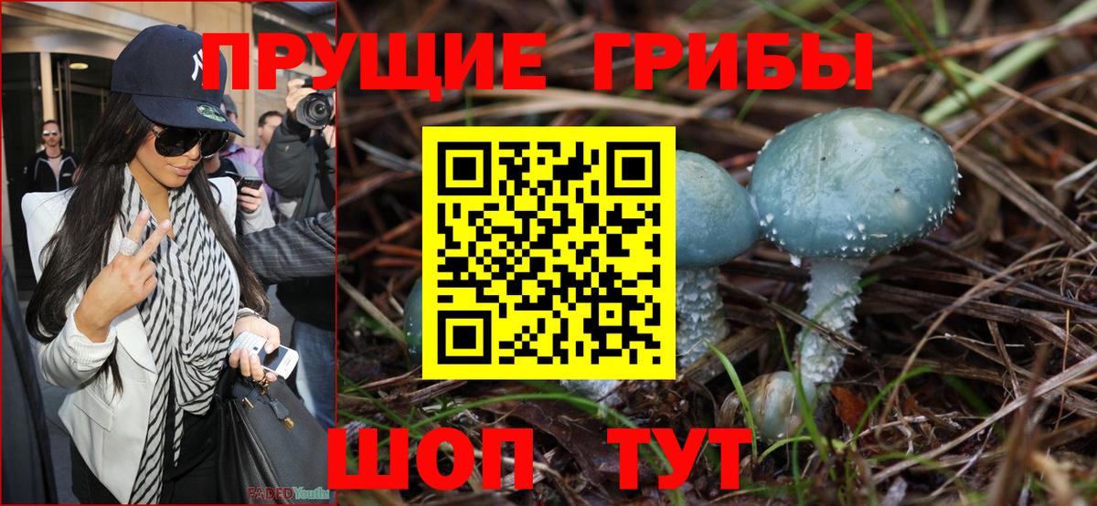 Кемерово  Галлюциногенные грибы мицелий  Галлюциногенные грибы Magic Shrooms  Вход с VPN 